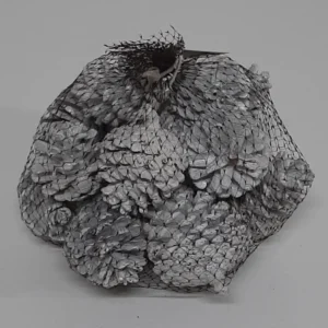Blue pine cones pearl washed white