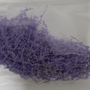 Asparagus wild lavender