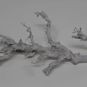 Oak bonsai stone washed white