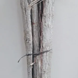 Bundle poplar bark extra long stone washed white