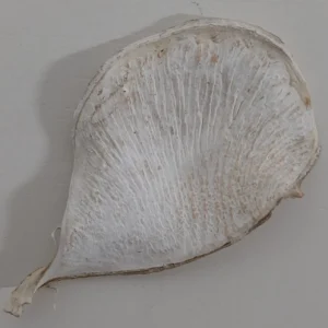 Bolsa large stone washed white