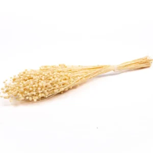 Flax bleached