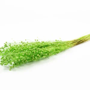 Flax misty green