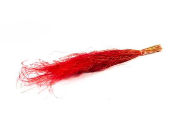 Stypa pennata long red