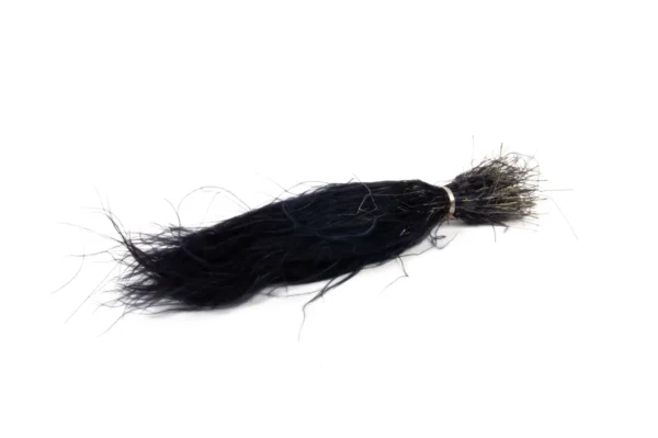 Stypa pennata long black