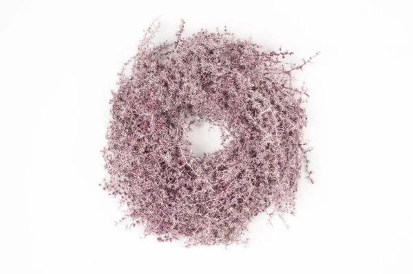 Wreath asparagus wild 35 cm waxed aubergine