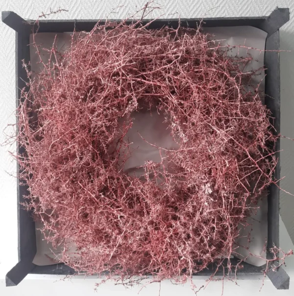 Wreath asparagus wild 60 cm waxed bordeaux