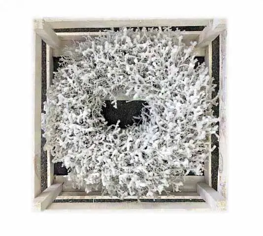 Wreath iron bush 35 cm waxed white with snow