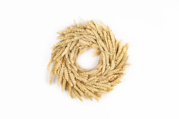 Wreath wheat 35 cm natural
