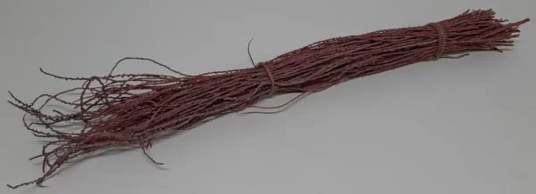 Bundle tail stick stone washed light pink