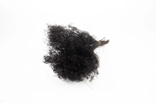 Lepidium black