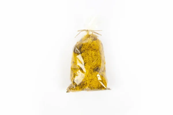 Icelandic moss preserved yellow