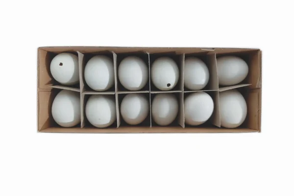 Duck eggs natural green