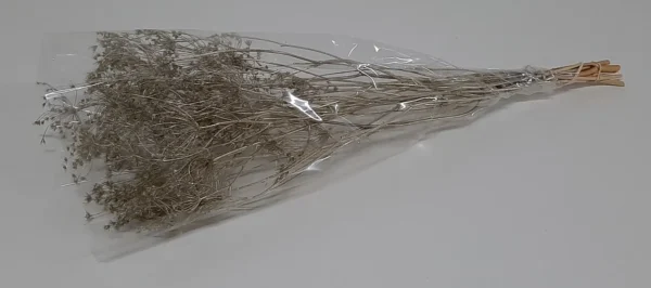 Berryberrytwigs platinum (packed)