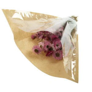 Acroclinium light pink