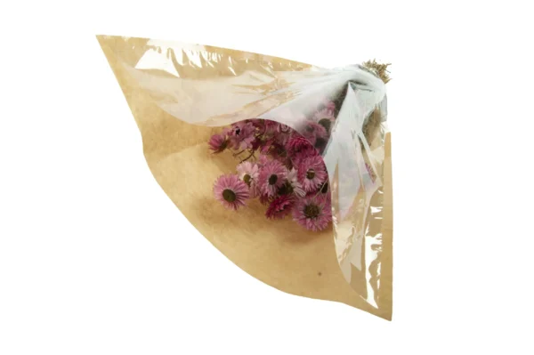 Acroclinium light pink