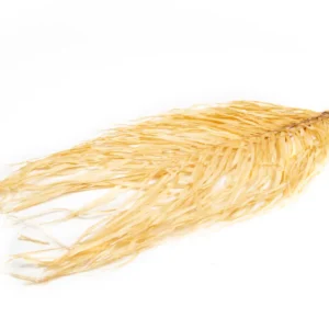 Areca leaves bleached
