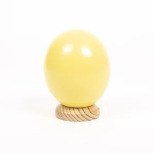 Ostrich egg pastel yellow