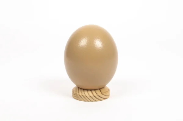 Ostrich egg satin beige