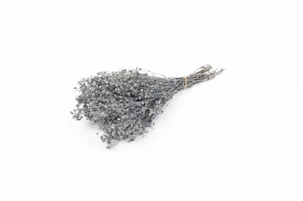Gypsophila preserved silver