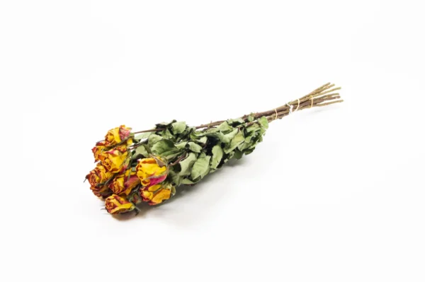 Roses Allure yellow/red