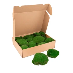 Ball moss preserved forest green