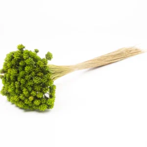 Hill flower apple green