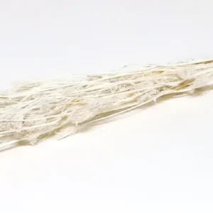 Finocchio bleached