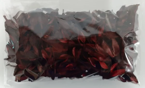 Bata caixa red