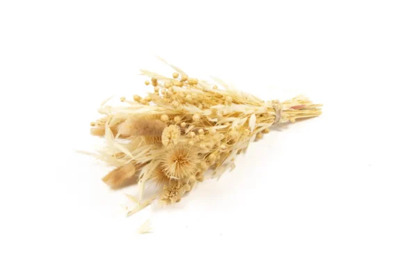 Bouquet small RH natural/bleached