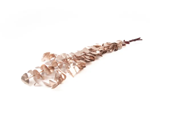 Eucalyptus baby blue preserved rosegold