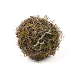 Ball flat moss/bonsai wood 30 cm natural