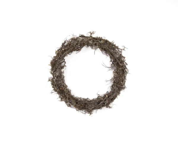 Ring bonsai wood 40 cm natural