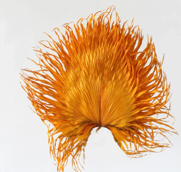 Anahaw leaves mini orange