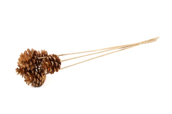 Blue pine cones o/st. copper with glitter copper