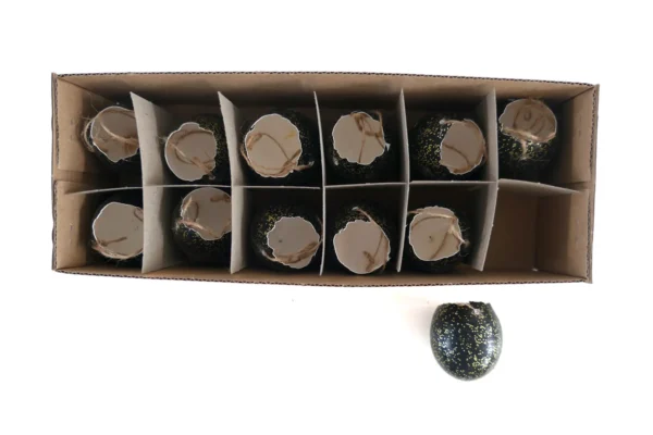 Chicken eggs open with rope black with glitter gold