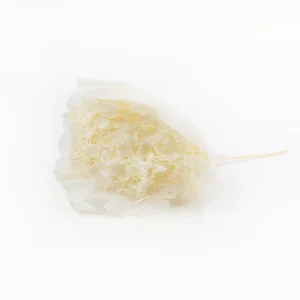 Hydrangea 25-30 cm preserved bleached