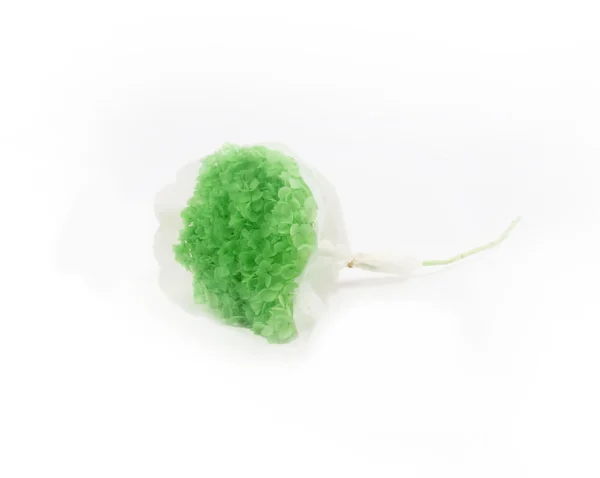 Hydrangea 25-30 cm preserved apple green