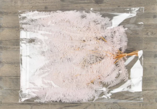Gull fern preserved light pink
