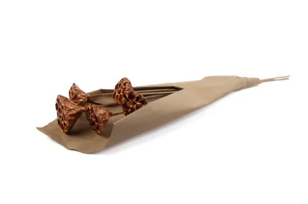 Lotus 3-5 cm o/st. copper