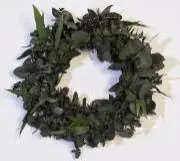 Wreath eucalyptus preserved mixed 1 mtr. green