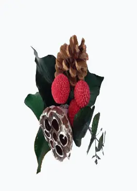 Pick TH o/wr. No. 3 natural/red/white tip