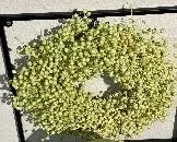 Wreath flax 45 cm misty green