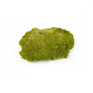 Ball moss preserved 0,75 m2 spring green