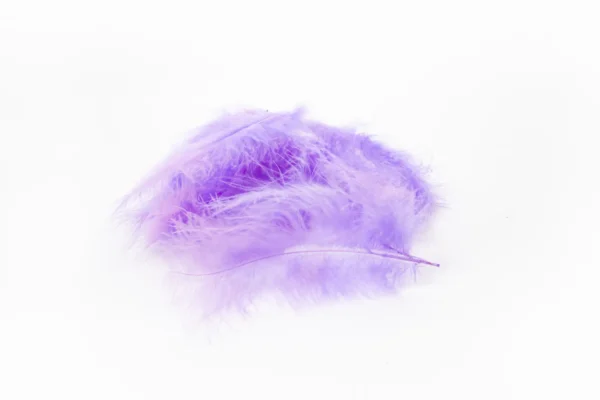 Marabou lavender