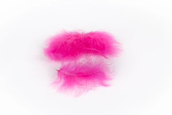 Marabou fuchsia