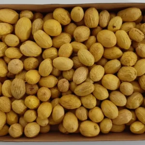 Amra pods yellow