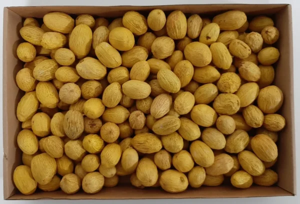Amra pods yellow