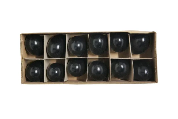 Chicken eggs black