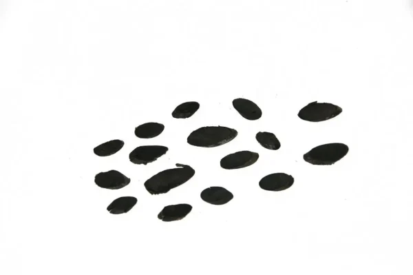 Slices black